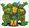turtles.8241.jpg