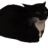 Z3ki